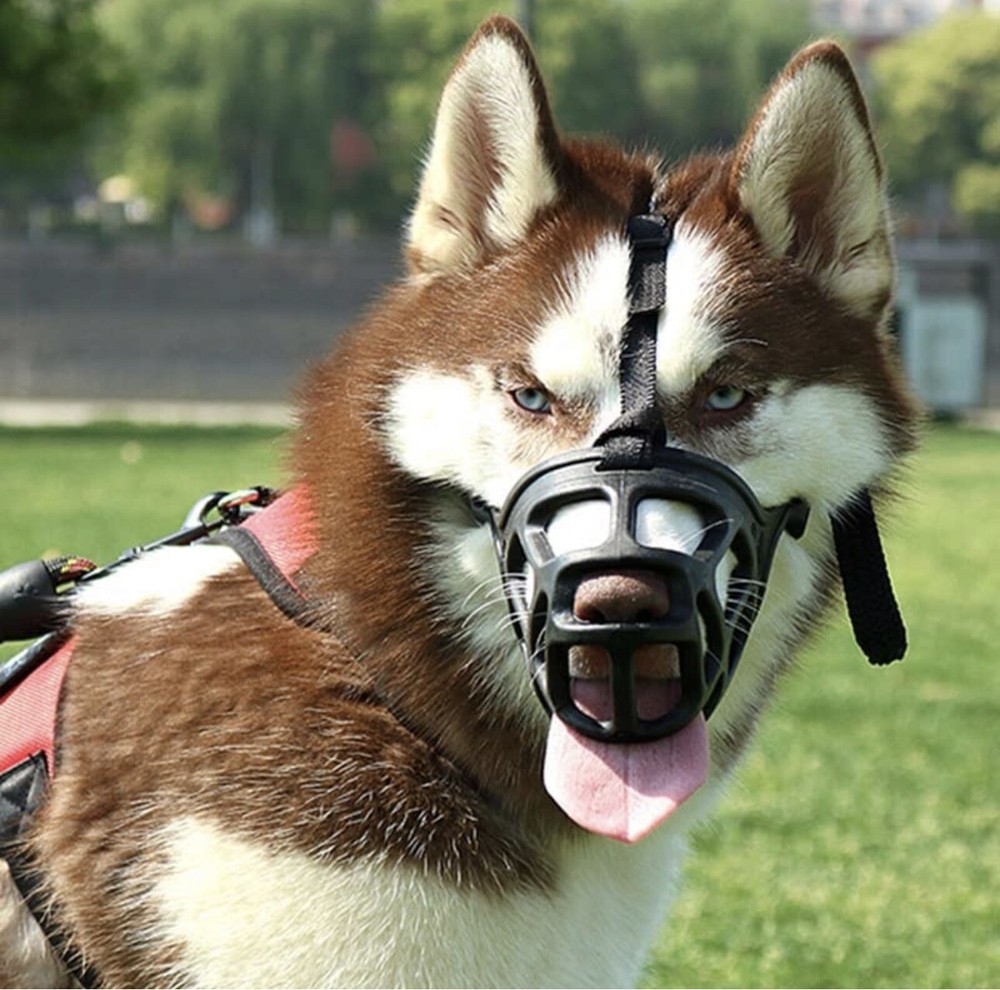 Dog Muzzle Size L BLACK