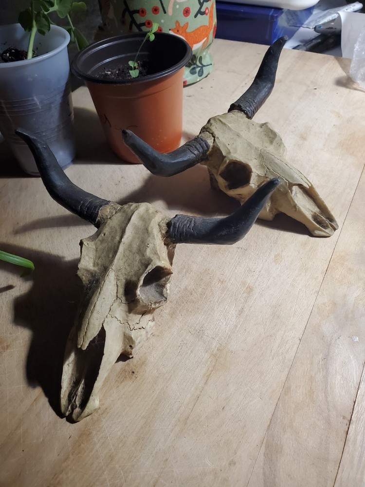 Decorative pair of Skulls