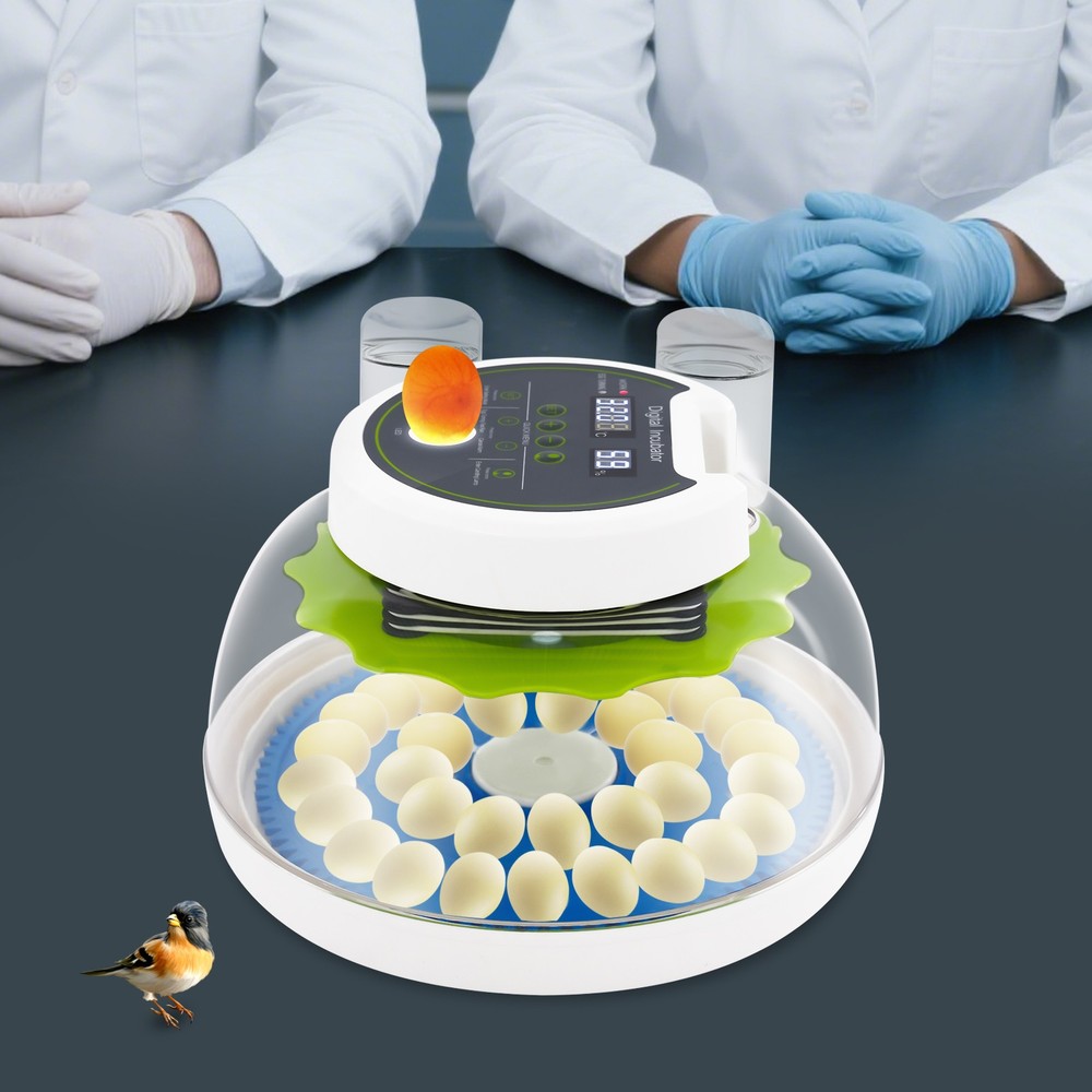 33 Eggs Quail Egg Incubator Modern Small Quail Brooder Poultry Quail Incubator