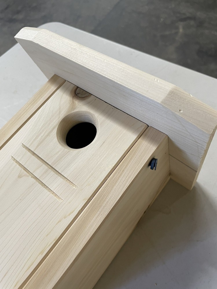 House Wren nesting box