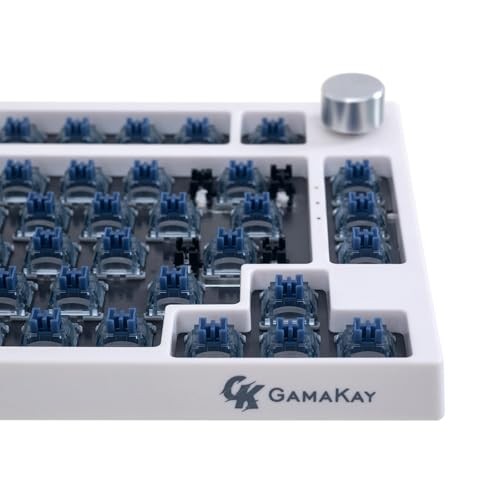 Pegasus Tactile Silent Keyboard Switch with LED Pegasus V2 Switch-70Pcs