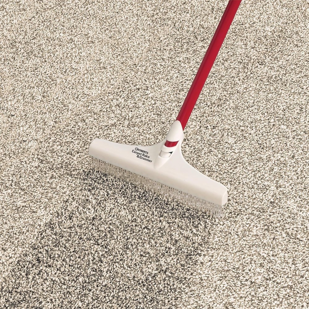 Lightweight Carpet Rake with 12" Head and Long 51" Handle - Compact Solution