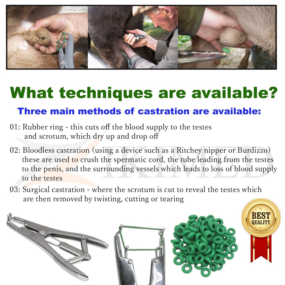 Elastrator Castration & Tail Docker Pliers C/P, 8" & Free 100-pcs Elastic Bands