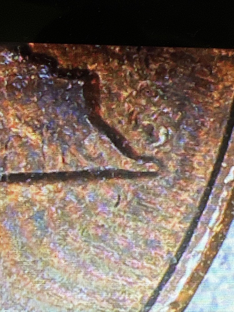 1984 Lincoln Cent With Reverse Clash Die Crack Error