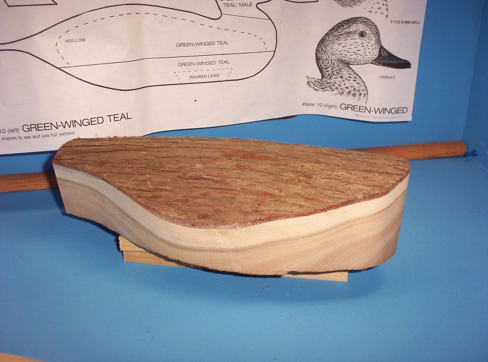 Blue-Winged Teal Cedar Caving Kit