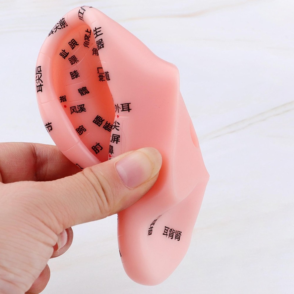 Ear Model Teaching Aid for Massaging Acupoint Practice Learning