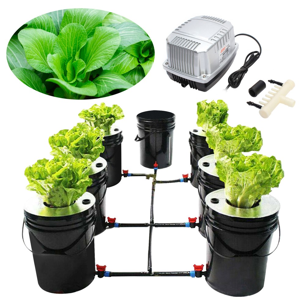 DWC 5 Gallon 6 Buckets Hydroponics Growing System Recirculating Growing Kit