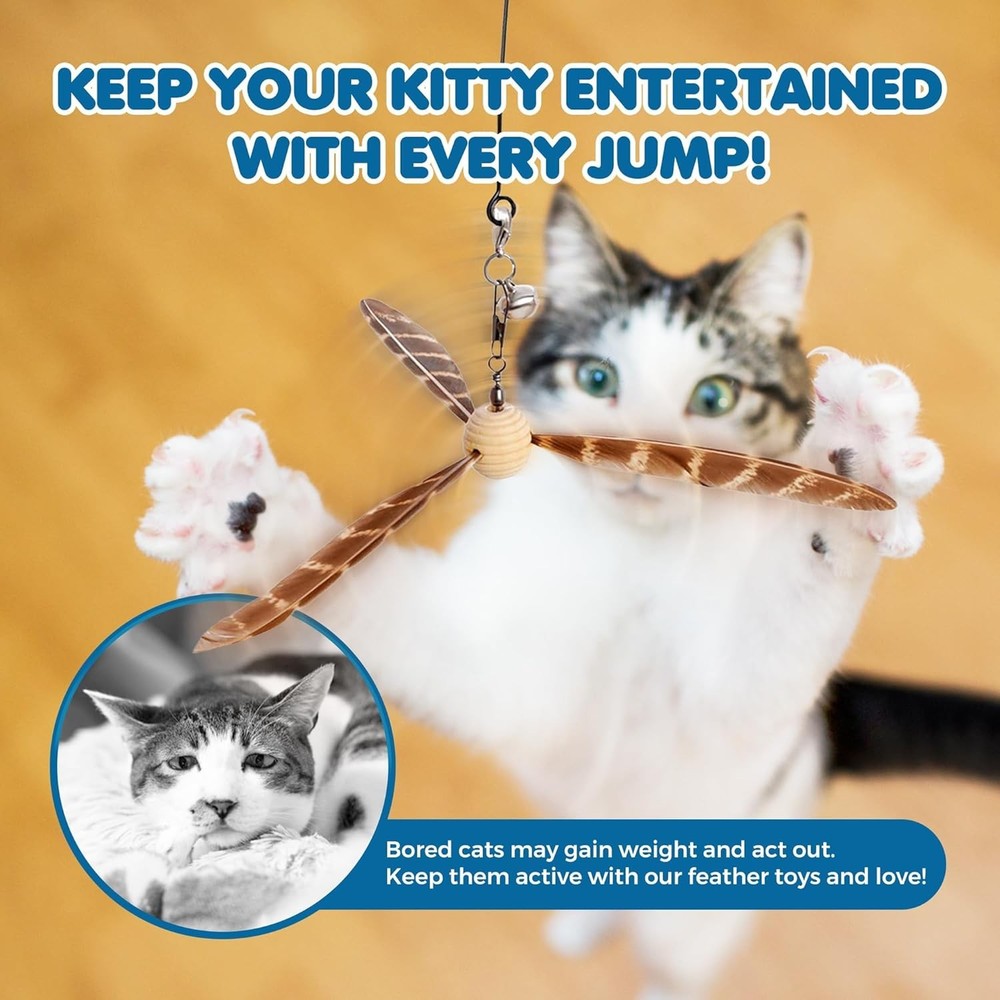 Interactive Cat Feather Toy 34in Pole 3 Teasers