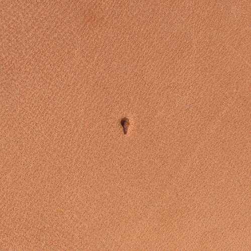 Stop H907-S Leather Stamp