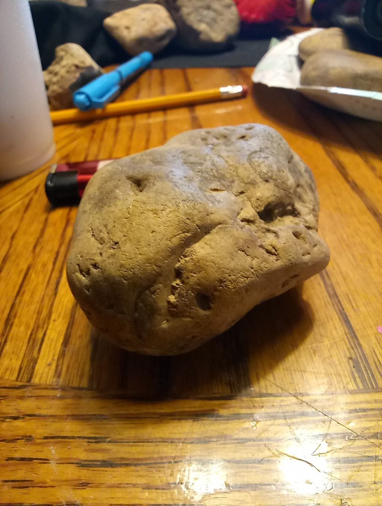 Fossils