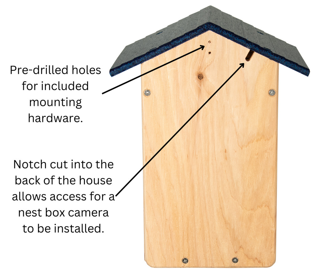 Cedar Ultimate Bluebird House (Blue)