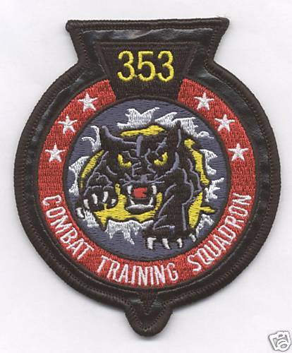 353rd COMBAT TRAINING SQUADRON ON LEATHER patch