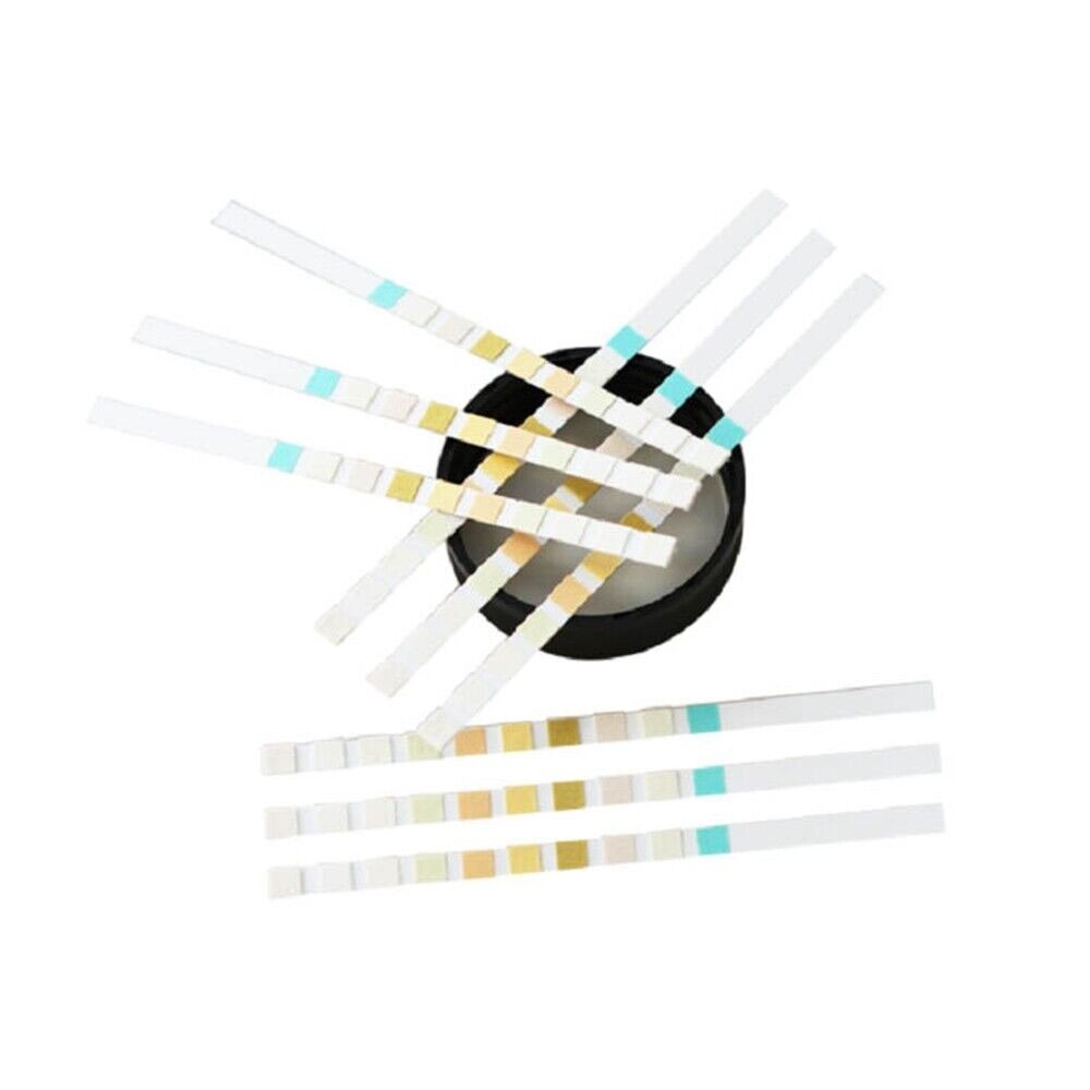 Urine Dipstick 10 Parameter Urinalysis Reagent Test Strips