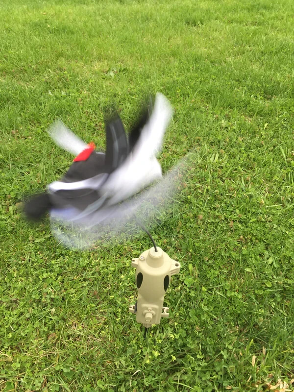 ICOtec PD200 Stand Alone Electronic Predator Decoy