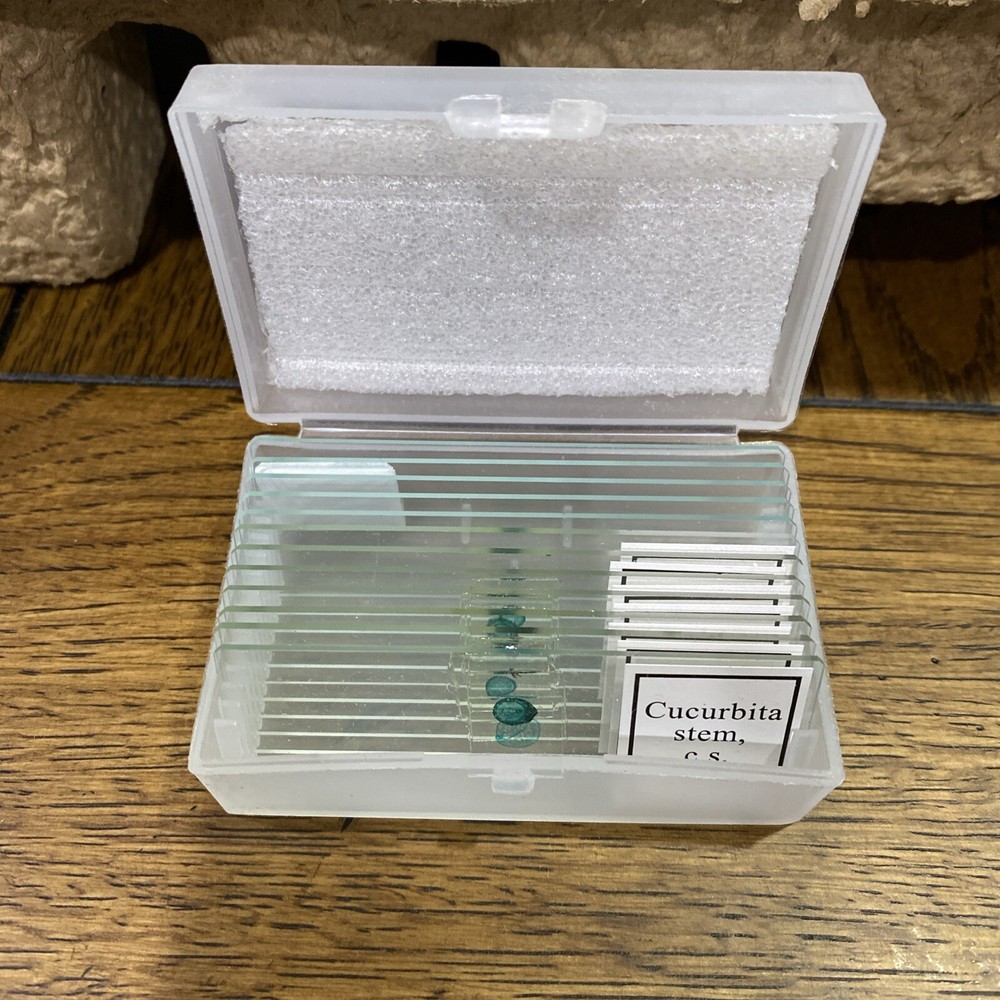 Vanstarry Inverted Microscope -O15