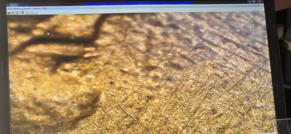 1983 Lincoln Cent. Check Out Pics! Nice Luster Too!