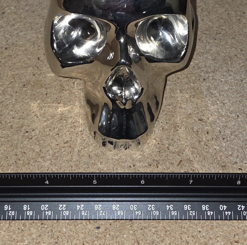 D. L. & Company Silver Skull
