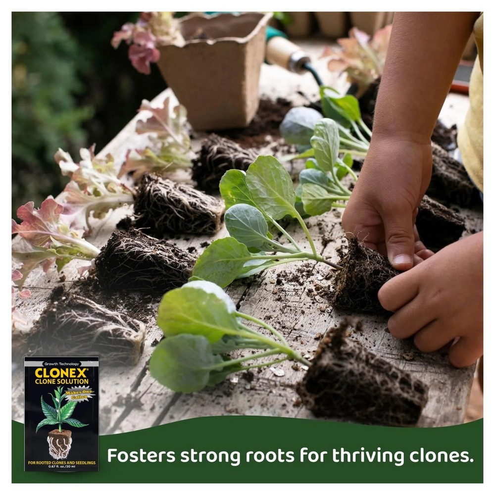 Clonex Clone Solution 20ml Packet – Makes 1 Gallon – Rooting Nutrient