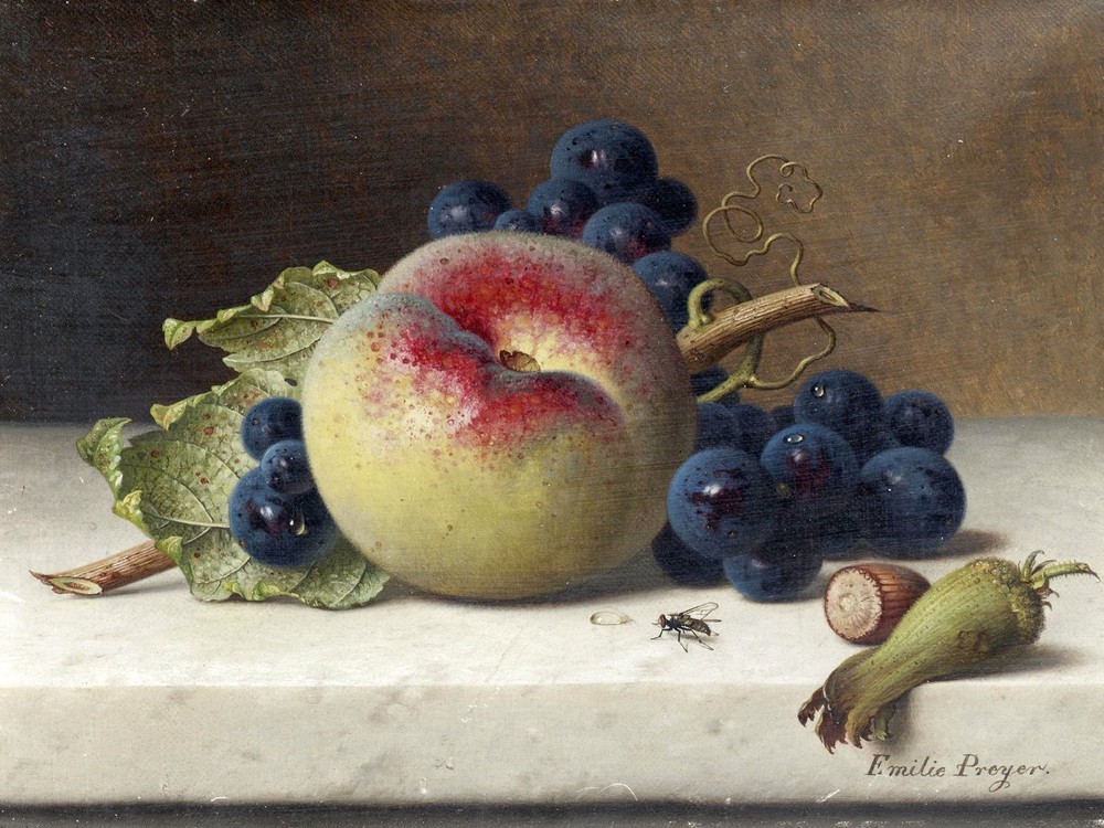 Still life with fruit and nuts Accent Tile Mural Kitchen Bathroom Backsplash 8x6