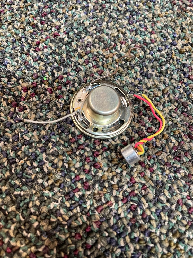 Microphone and Speaker