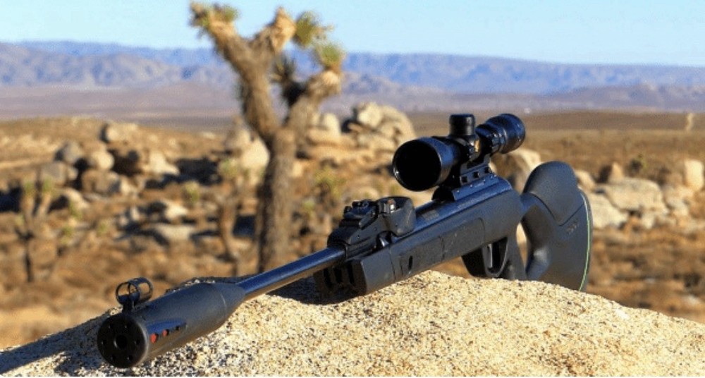 Air Rifle with Scope