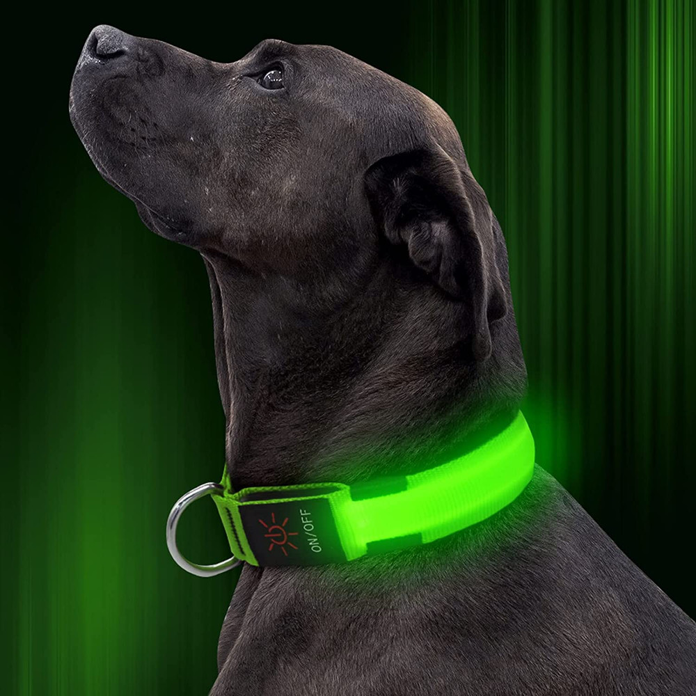 Illumifun LED Dog Collar, Adjustable Light up Collars, USB Rechargeable Glowing