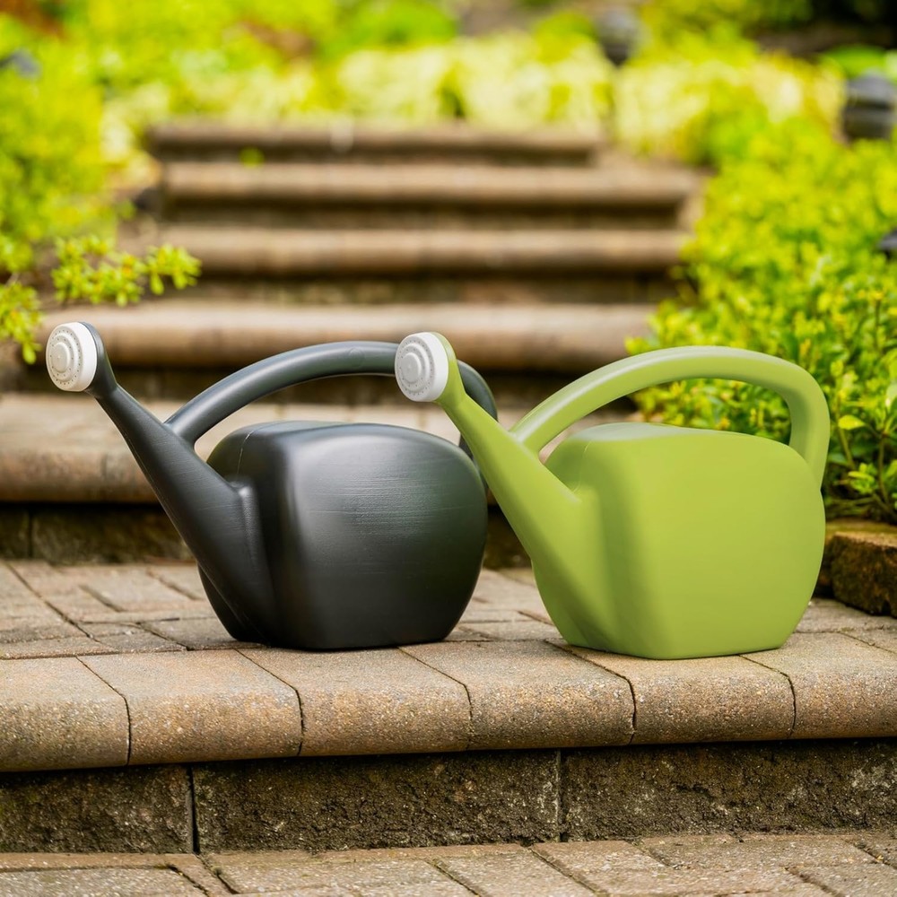 Root & Vessel Plastic Watering Can, Black, 2 Gallon