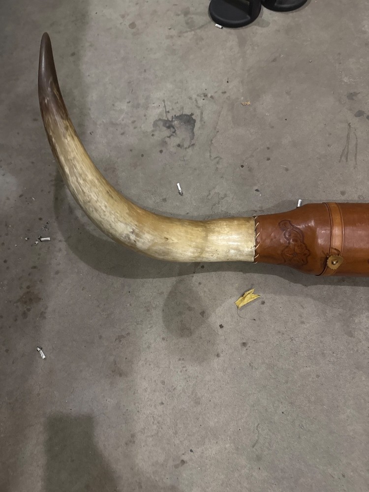 longhorn steer horns mounted