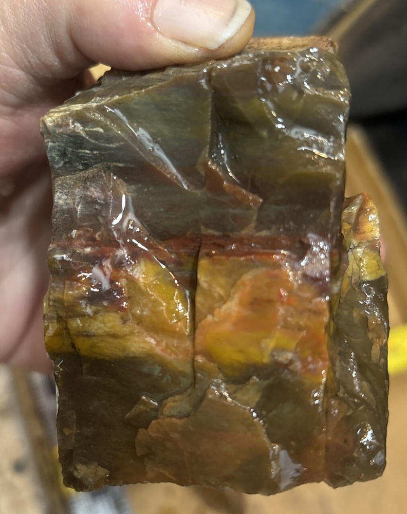 Colorful petrified wood