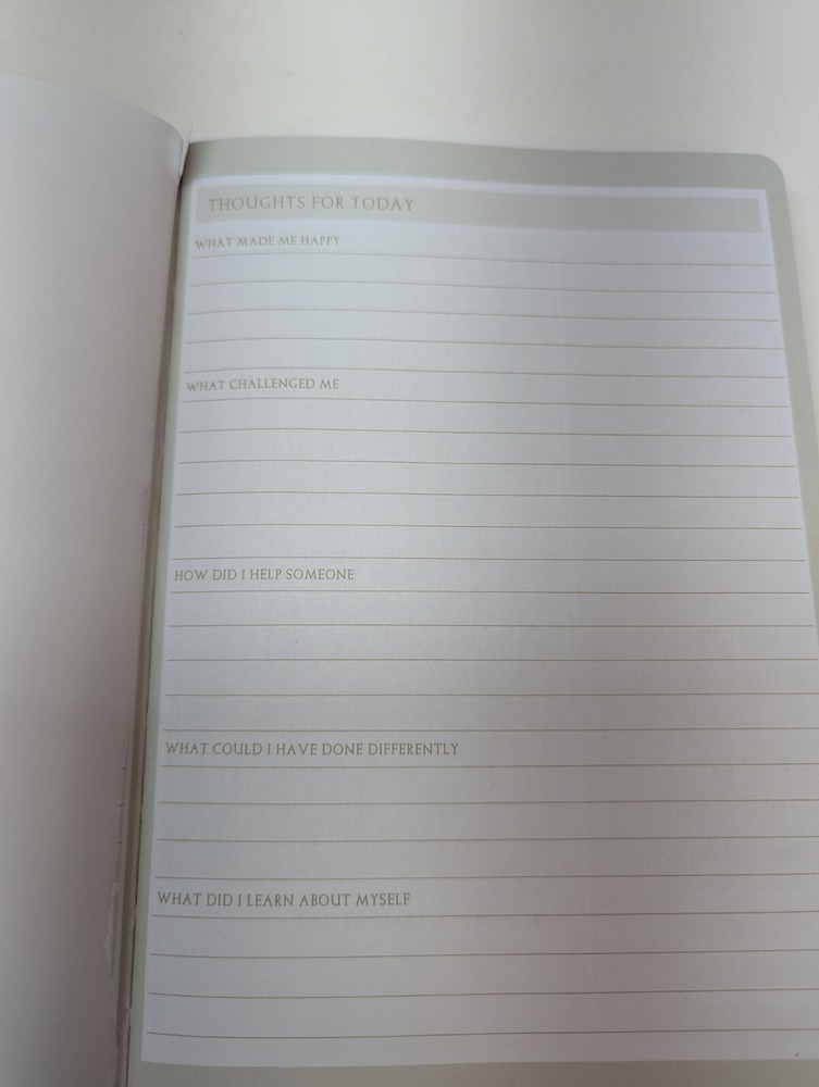 Plan, Pause Reflect Journal Fuchsia Guided Daily Reflection Journal Gartner HC