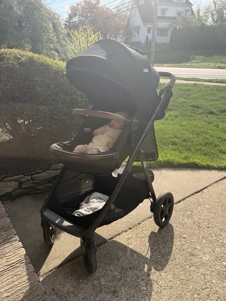 Joie ginger stroller