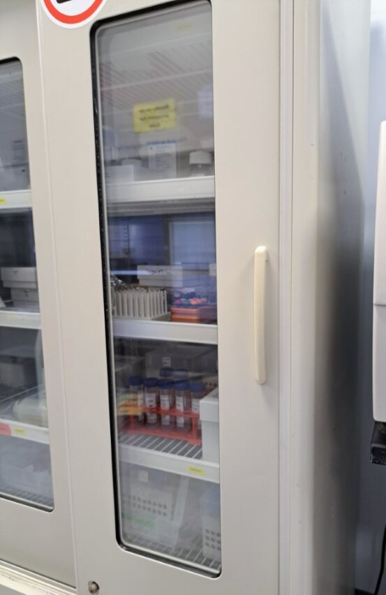 Forma Scientific 3684 Double Sliding Door Lab Refrigerator