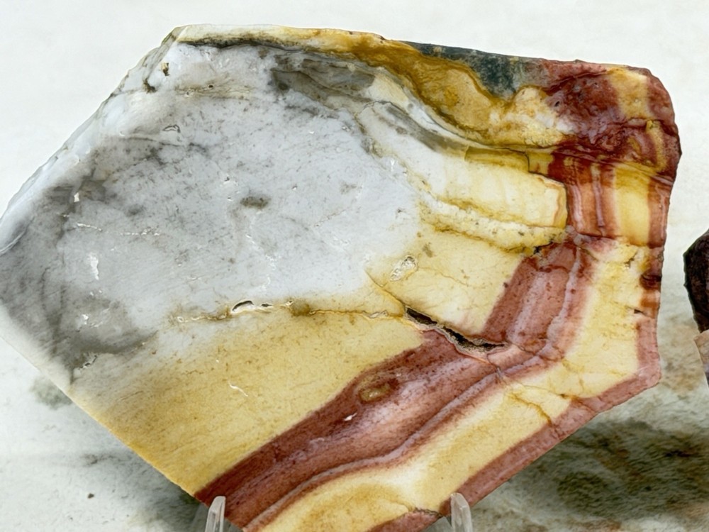 Windy Mountain Jasper Slab Set, Lot#204