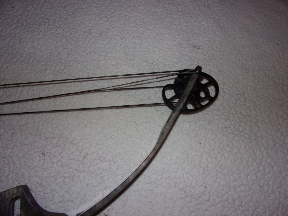 Martin Jaguar Compound Bow