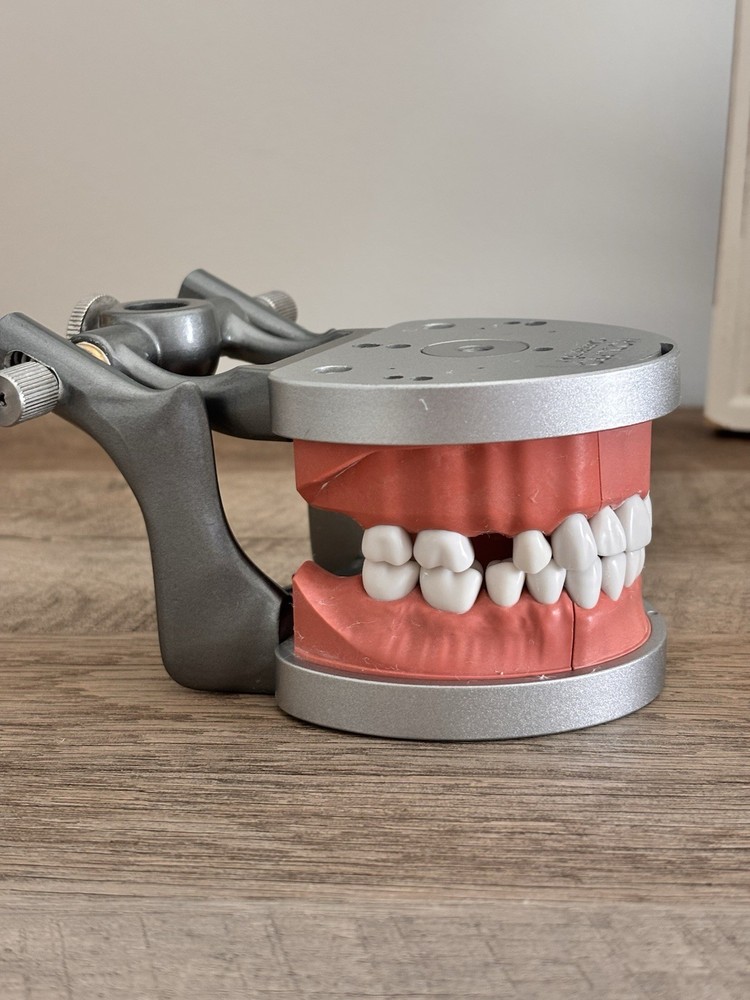 Acadental ModuPRO Typodont One & Practice Kit with Removable Teeth