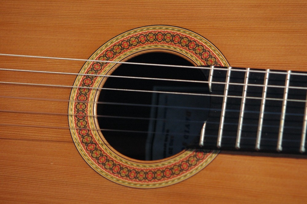 Make Your Own Rodriguez Guitar-Online Apprentice Guitar Making Course CDROM