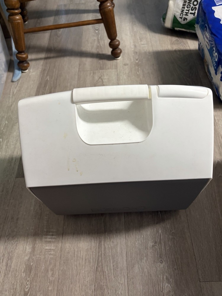 Playmate Igloo Cooler