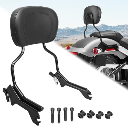 Rear Upright Passenger Backrest with Pad & Docking Hardware Kit Sissy Bar