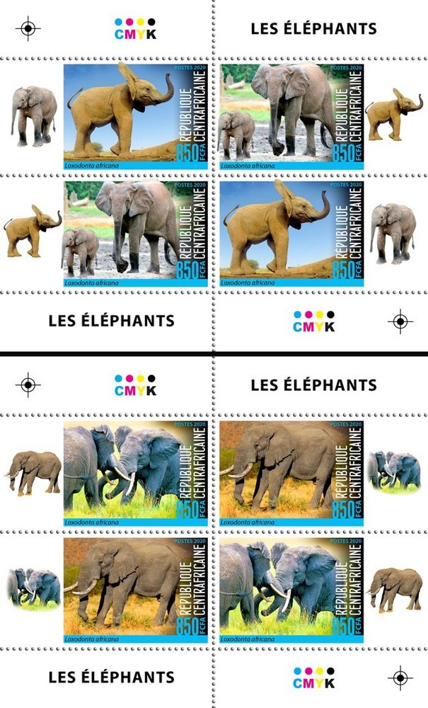 Elephants
