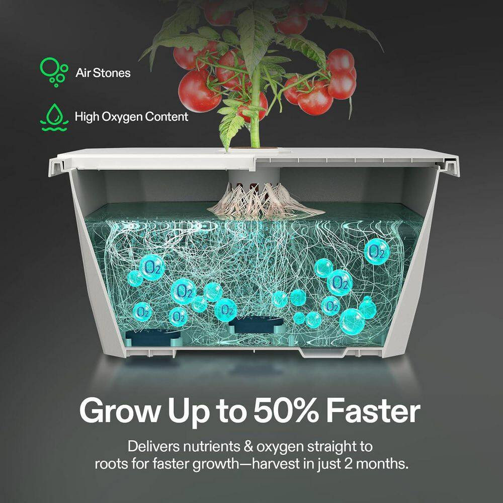 Vgrow DWC Hydroponics System Kit, Made for Vgrow Smart Grow Box