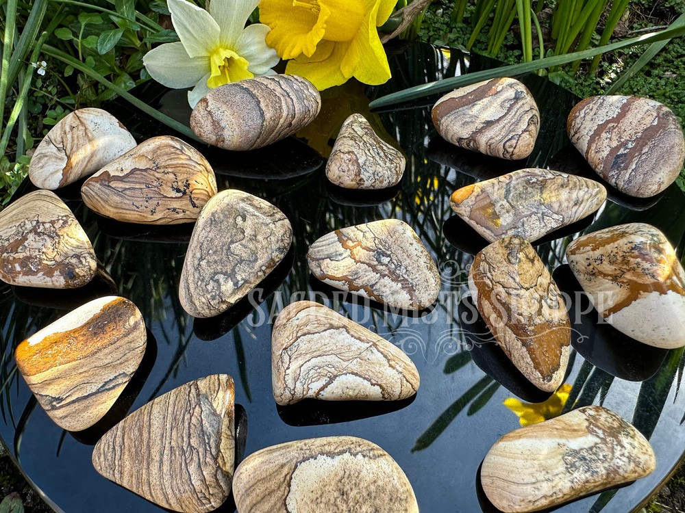 Picture Jasper Tumbled Stone Dreamwork Remote Viewing Creativity Visioning