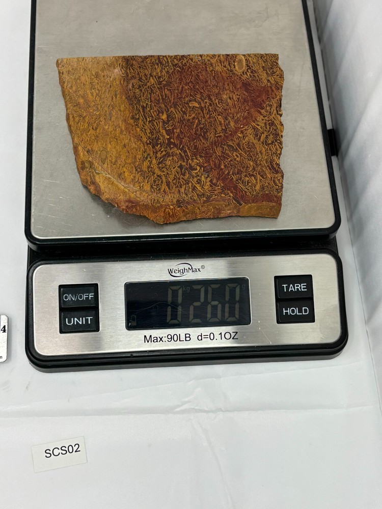 Script Stone Jasper Slab Cabbing Lapidary Collecting Combo Ship Avail