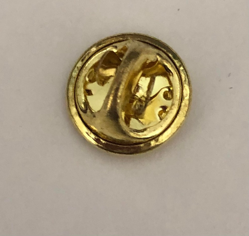 Follow His Star Pin