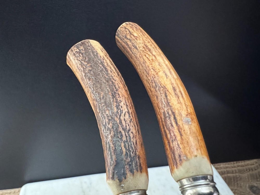 Custom German Stainless Kitchen Poultry Shears Stag Handle, Fork Tip, Take-Apart