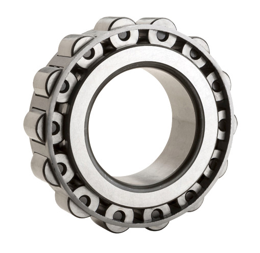 MU1205L - NTN - Cylindrical Roller Bearing