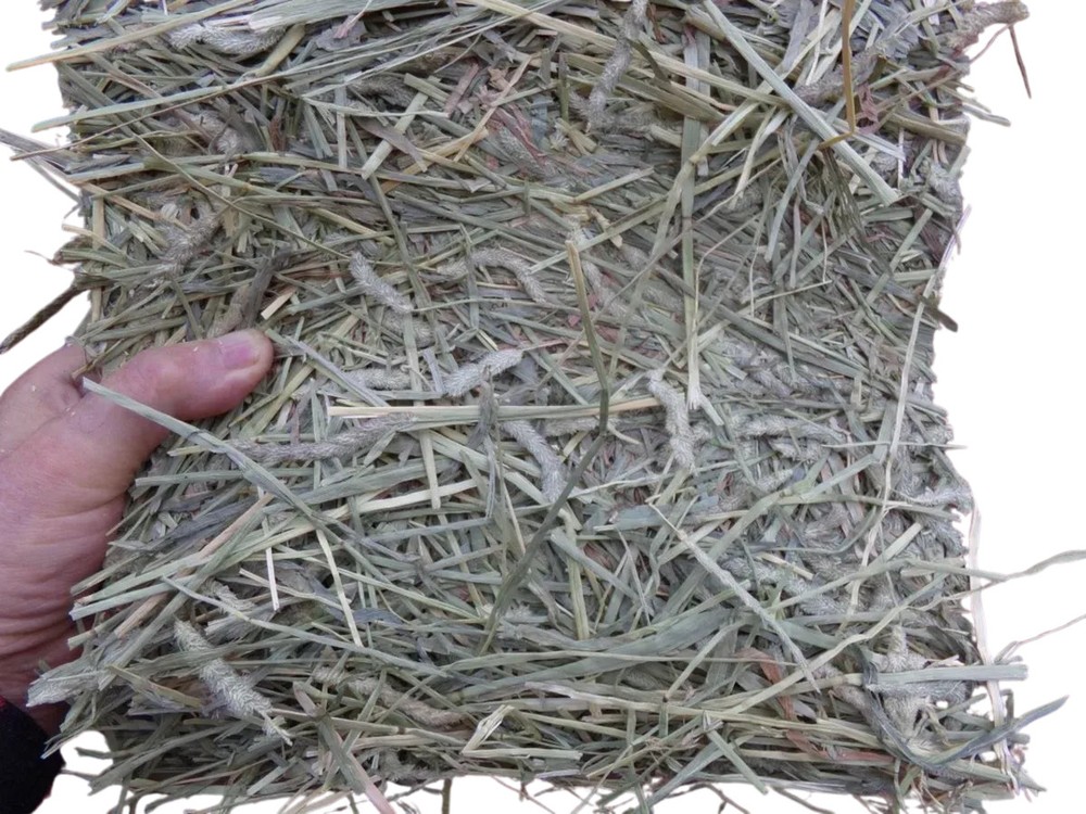 Timothy Hay In A Box 5 lbs.