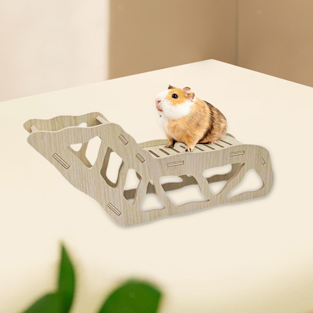 Hamster Ladder Digging Hamster House