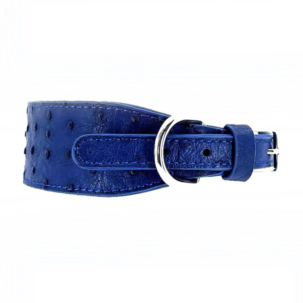 Blue Ostrich Collar