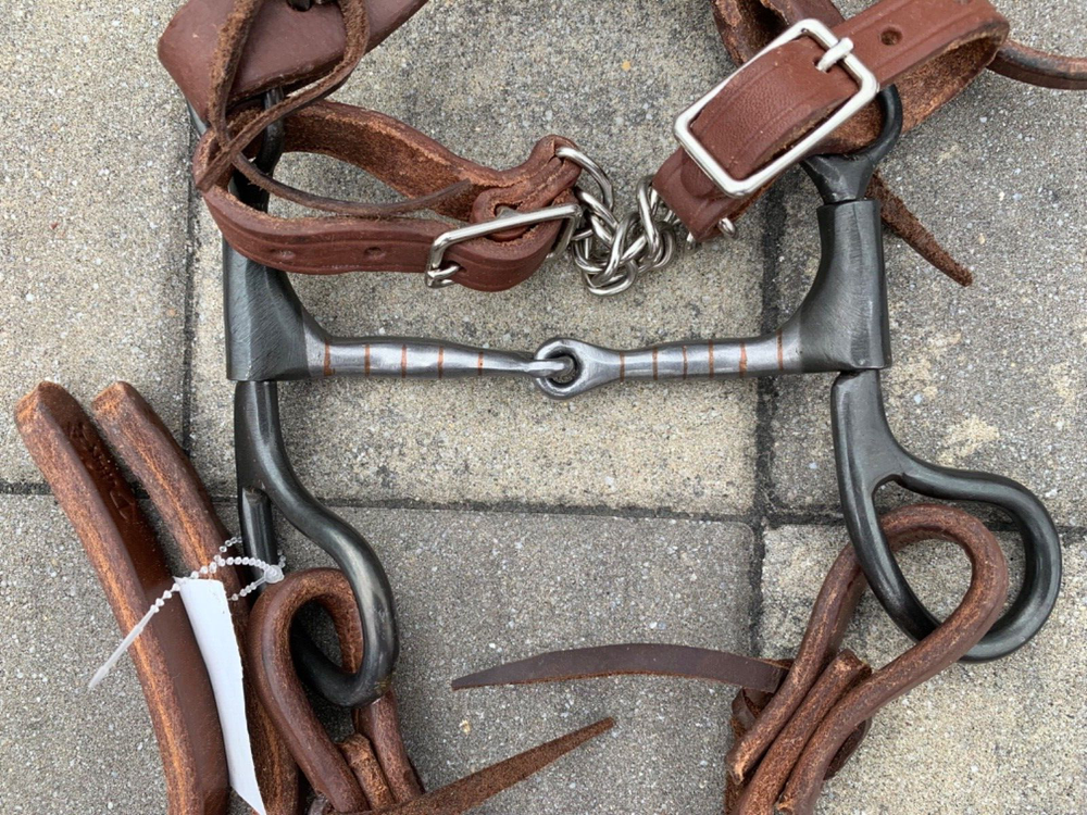 Dutton Smooth Tear Drop BIT & COMPLETE BRIDLE SET Headstall, Reins, & Curb Strap