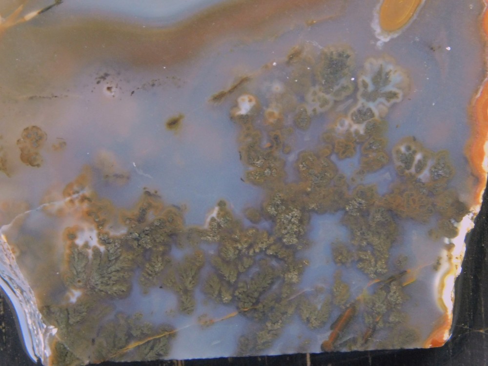 Plume Agate lapidary cabbing slab from Mexico 6mm thick
